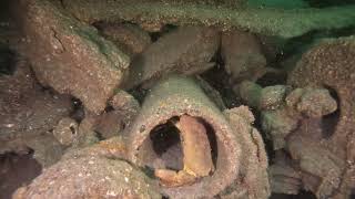 Diving the Eddystone Lighthouse and James Eagan Layne with Indeep aboard quotPantherquot [upl. by Aubrie]