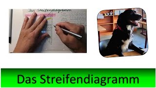 Das Streifendiagramm [upl. by Bel]