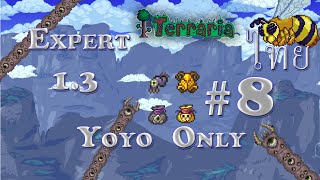 Terraria 13 Expert 8 Yoyo Only พี่ฟาร์มมาเยอะวันนี้พี่ขอ [upl. by Sands]