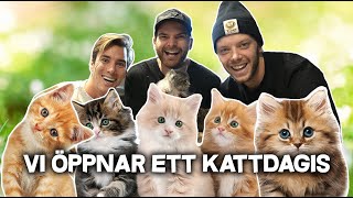 VI ÖPPNAR ETT KATTDAGIS [upl. by Anrak]