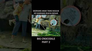 anak ini masuk ke kandang buaya terbesar di dunia buaya crocodile [upl. by Levania]