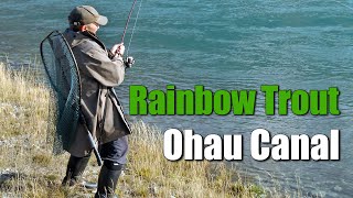 How to Land and Release big trout in the Twizel Canals [upl. by Oralie]