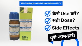 SBL Ornithogalum Umbellatum Dilution 12 CH Uses in Hindi  Side Effects  Dose [upl. by Nyloc]