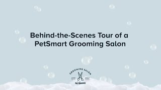 Behind the Scenes at PetSmart Grooming Salons [upl. by Dunlavy]