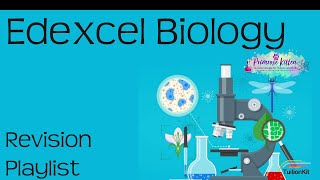 Edexcel Biology Playlist Revision for 91 GCSE Biology or Combined Science [upl. by Ainaznat]