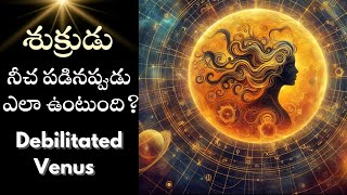 శుక్రుడు నీచ పడినప్పుడు ఎలా ఉంటుంది Debilitated Venus [upl. by Montana]