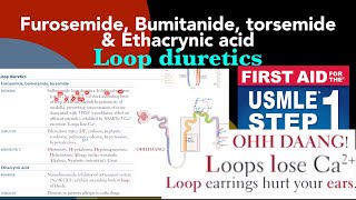 Loop diuretics Furosemide Bumitanide Torsemide amp Ethacrynic acid in HindiUrdu by first aid [upl. by Lashondra]