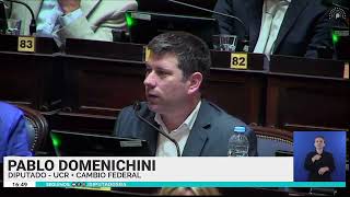 Diputado Pablo Domenichini  Sesión 15 de agosto de 2024 [upl. by Euqirdor]