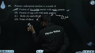 Primary endosperm nucleus is a result of [upl. by Woolson]