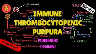 IMMUNE THROMBOCYTOPENIC PURPURA Pathogenesis Mechanism of clinical symptoms ITP Treatment [upl. by Fairley703]