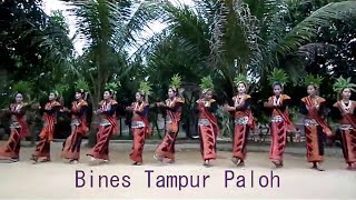 Tari bines Tampur Paloh Aceh timur [upl. by Andromache]