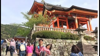 LUGARES PARA PASEAR EN KIOTO TEMPLO SANJUSANGENDO TEMPLO KIYOMIZU DERA [upl. by Acireit188]