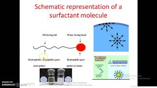 Understanding the Surfactants Behavior used in Pharmaceutical [upl. by Olnton]