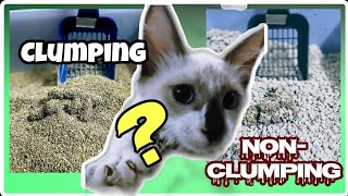 Clumping or Nonclumping Cat Litter Sand  Which is Better  Matangpusa [upl. by Ajroj407]