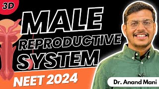 Human Reproduction In 3D  Male Reproductive System  Part 1  NEET 2024  Dr Anand Mani [upl. by Azil98]