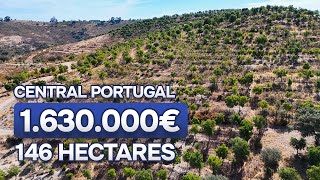 Strategic Investment opportunity in Portugal  146 hectares  1630000€ [upl. by Attenehs]