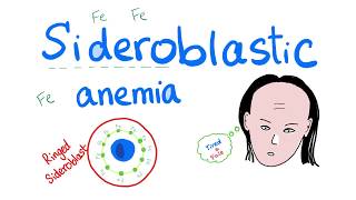 Sideroblastic Anemia [upl. by Sire]