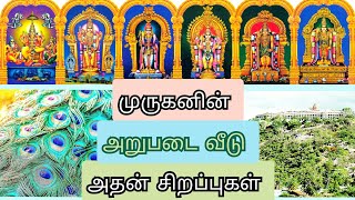 Arupadai Veedu in Tamil Six Abodes of Murugan முருகப் பெருமானின் அறுபடை வீடு கோவிலின் சிறப்புகள் [upl. by Anila]