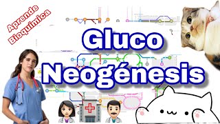 Gluconeogénesis UN RESUMEN [upl. by Hesketh690]