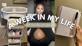 WEEKLY VLOG last week pregnant  nesting maternity shoot  MORE [upl. by Hpeosj67]