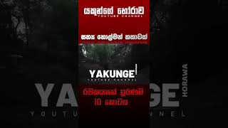 රචකයාගේ ඉරණම 10  sinhala holman katha සිංහල holman හොල්මන් horror horrorfan horrormovie [upl. by Nocaed]