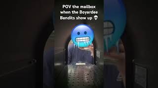 POV the mailbox seeing the Boyardee Bandits show up [upl. by Allx]