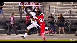 2015 WR Auden Tate 2013 season highlight remix [upl. by Terbecki829]