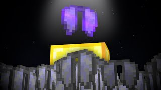 This Elytra Controls The Server [upl. by Ydasahc]