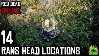 Red Dead Redemption 2 Online  RAMS HEAD LOCATIONS [upl. by Dressel]