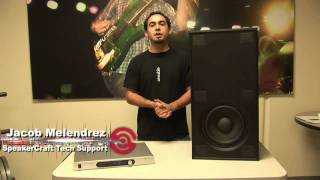 Tantra InWall Subwoofer and 250 Watt Amplifier [upl. by Jamey]