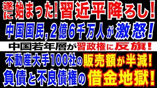 2024229 中国若年層が「習近平政権へ怒りのメッセージ」。不動産大手100社の1月の販売額が前月比半減。碧桂園、債権者が清算申し立て 債務再編不透明に [upl. by Renato]