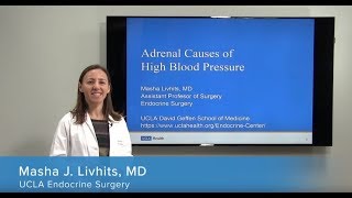 Adrenal Causes of High Blood Pressure  Masha Livhits MD  UCLAMDChat [upl. by Nanyk]