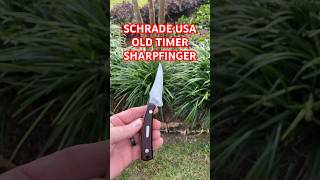 THE MUSTHAVE SCHRADE USA OLD TIMER SHARPFINGER FIXED BLADE KNIFE🇺🇸⚔️ youtubeshorts knife edc [upl. by Stu]