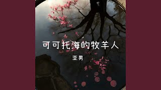 可可托海的牧羊人 Live [upl. by Enneles]