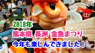 動画で金魚『2018年熊本県長洲…金魚まつり 今年も楽しんできました！』H3053 [upl. by Ainatit]