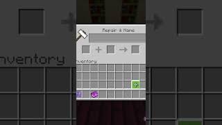 Best Elytra Enchantments in Minecraft 119 shorts [upl. by Chrysa]