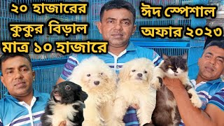 Lhasa ApsoDog price in 2023Persian cat price in 2023Katabon animal market in bangladesh gsd [upl. by Adnyc]