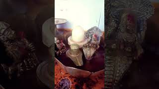 Shiva abhishekam bgm viralvideo ringtone shivaji religionhara new viralvideo youtubeshorts [upl. by Sinnylg137]