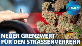 CannabisLegalisierung Die Herausforderung eines neuen Grenzwertes [upl. by Odrareg]