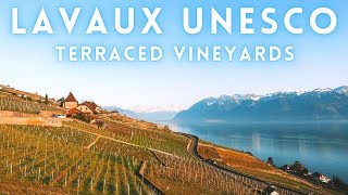 Lavaux Switzerland Drive  Terraced vineyards 4K [upl. by Adnohsor705]