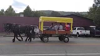 Mule Day Collinsville Trade Day [upl. by Merline]