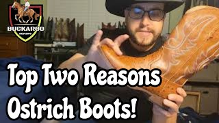 Top Two Reason To Own A Pair Of Ostrich Cowboy Boots [upl. by Perusse]