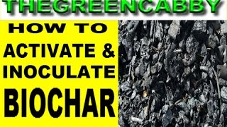 HOW TO ACTIVATE BIOCHAR EASY  TOP 3 WAYS TO INOCULATE BIO CHAR TERRA PRETA CHARCOAL [upl. by Specht]