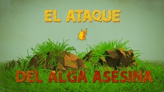 El ataque del alga asesina  Eric Noel Muñoz [upl. by Adlei]