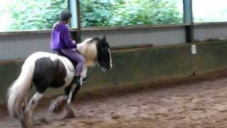 Cantering on my first lesson [upl. by Bjorn]