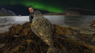 Spearfishing Giant Atlantic HALIBUT in Norway [upl. by Mieka84]