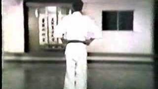 Heian Sandan Shotokai Karatedo [upl. by Oos]