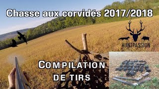 Chasse aux corvidés  Compilation de tirs [upl. by Alimak258]