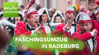 Faschingsumzug Radeburg 2024  „Filmreif RABU – Klappe die 67“  MDR [upl. by Koeppel]