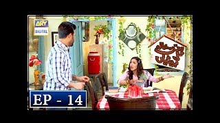 Babban Khala Ki Betiyan Episode 14  11th October 2018  ARY Digital Drama [upl. by Dnalyk908]